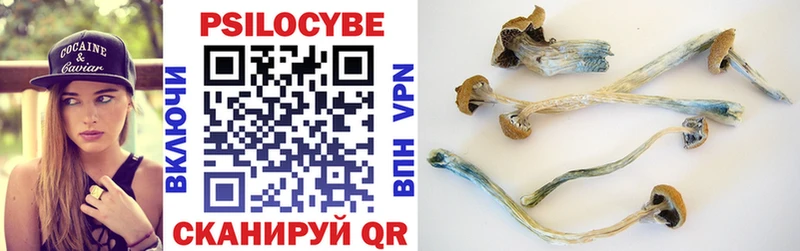 Псилоцибиновые грибы Cubensis  Хвалынск 
